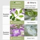 thumbnail image 3 of Guirnalda artificial de flores de glicina ZINHO, 60 ramas, color morado, 3 of 7
