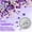S2, variant on 16000 count Mixed Purple  Flatback Rhinestones for Bedazzling Kit, 2-6mm Flatback   for Crafting, Bedazzling Kit for Crafts DIY  Makeup Tumblers