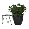 thumbnail image 6 of DecMode 15" Artificial Eucalyptus Plant in Realistic Leaves and Metal Stand and Black Pot, 6 of 8
