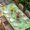 Green, variant on Date Coconut Tree Table Cloths for 4 Foot Rectangle Tables, Desert Camels Botanical Tropical Beige Patio Waterproof Elastic Fitted Tablecloths, Washable Rectangular Table Cover for Camping