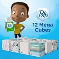 thumbnail image 3 of Puffs Plus Lotion 2-Ply Facial Tissues 12 Cube Boxes, 72 tissues/box-with Scrub Sponge, 3 of 8
