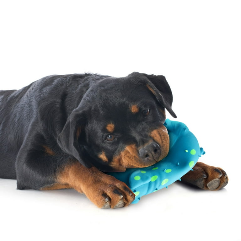 Best chew toys for rottweiler puppies clearance