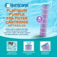 thumbnail image 2 of Hurricane 16 Pack HF7494-04P Purple Platinum Pool Filter Cartridge Replacement, 2 of 7