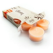 Autumn Splendor Tealight Candles - 6 Orange Premium Scented Tea Lights - Essential Oils - Shortie's Candle Company