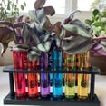 thumbnail image 7 of Transparent Test Tube Vase Plant Planting Container, Hydroponic Propagation Container With Support Stand (Set Of 6), Scientific Themed Instrument For Creative Gardening, 7 of 7