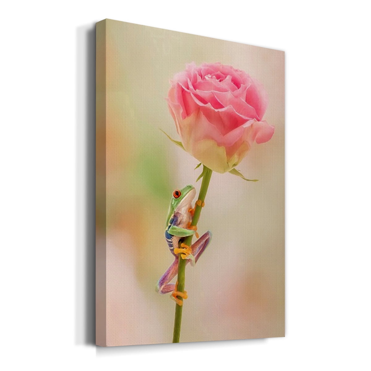 Hanging On II Premium Gallery Wrapped Canvas - Ready to Hang