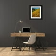 thumbnail image 3 of Talbot Frank, Christopher 12x14 Black Ornate Wood Framed with Double Matting Museum Art Print Titled - California, Lake Elsinore California poppies, 3 of 4