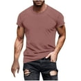 thumbnail image 1 of ameIAEA Mens Causal T Shirts Short Sleeve Crewneck Classic Shirts Solid Color Basic Tee Tops, 1 of 6