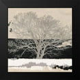 thumbnail image 2 of Alessio, Aprile 12x12 Black Modern Framed Museum Art Print Titled - Silver Tree (detail), 2 of 5