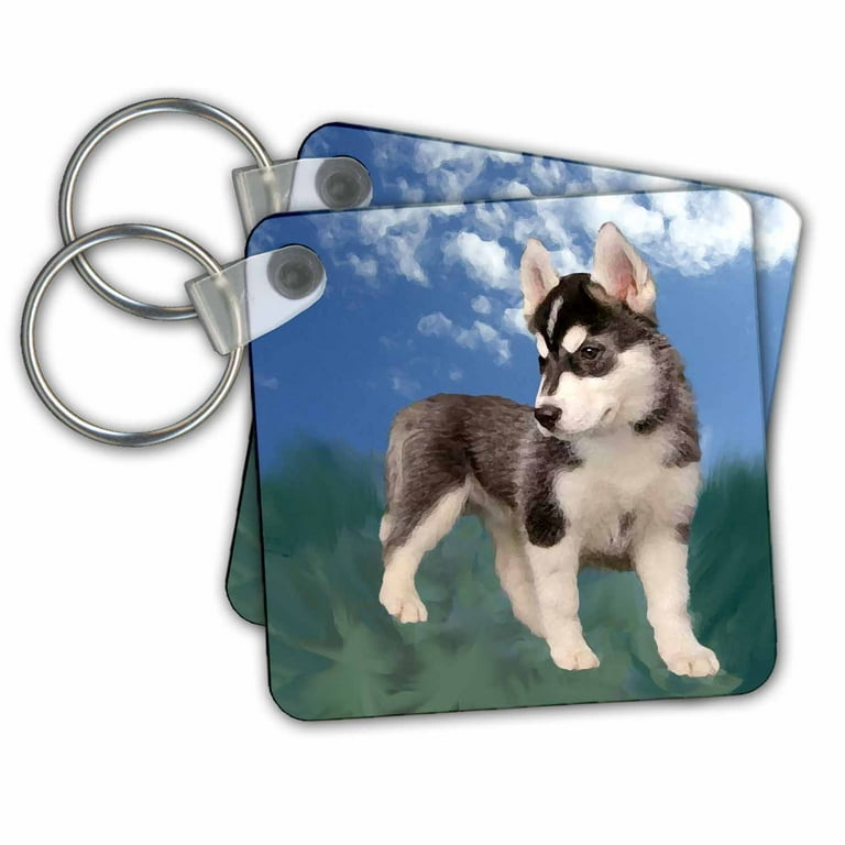 3dRose Siberian Husky Puppy Key Chains 2.25 by 2.25 inch set of 2 Walmart