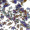 thumbnail image 3 of Estrella Despedida de Soltera con Confeti, 3 of 5