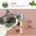 thumbnail image 3 of Catnip Ball for Cats, 2025 New Wall Catnip Balls for Cats Lick, Cute Edible Cat Nips Organic Ball, Healthy Kitty Teeth Cleaning Dental Chew Toys (3 PCS), 3 of 8