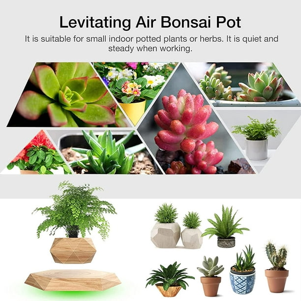 Lévitation Air Bonsaï Pot Bureau Pot de fleurs Jardinière Plante d’