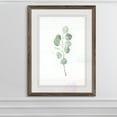 thumbnail image 2 of Wexford Home Soft Eucalyptus Branch III-Framed Print - Espresso - 16X22, 2 of 4