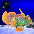thumbnail image 4 of Aquarium Fish Tank Safe Silicone Luminous Simulation Frogfish Landscape Decorationgreen orange, 4 of 4