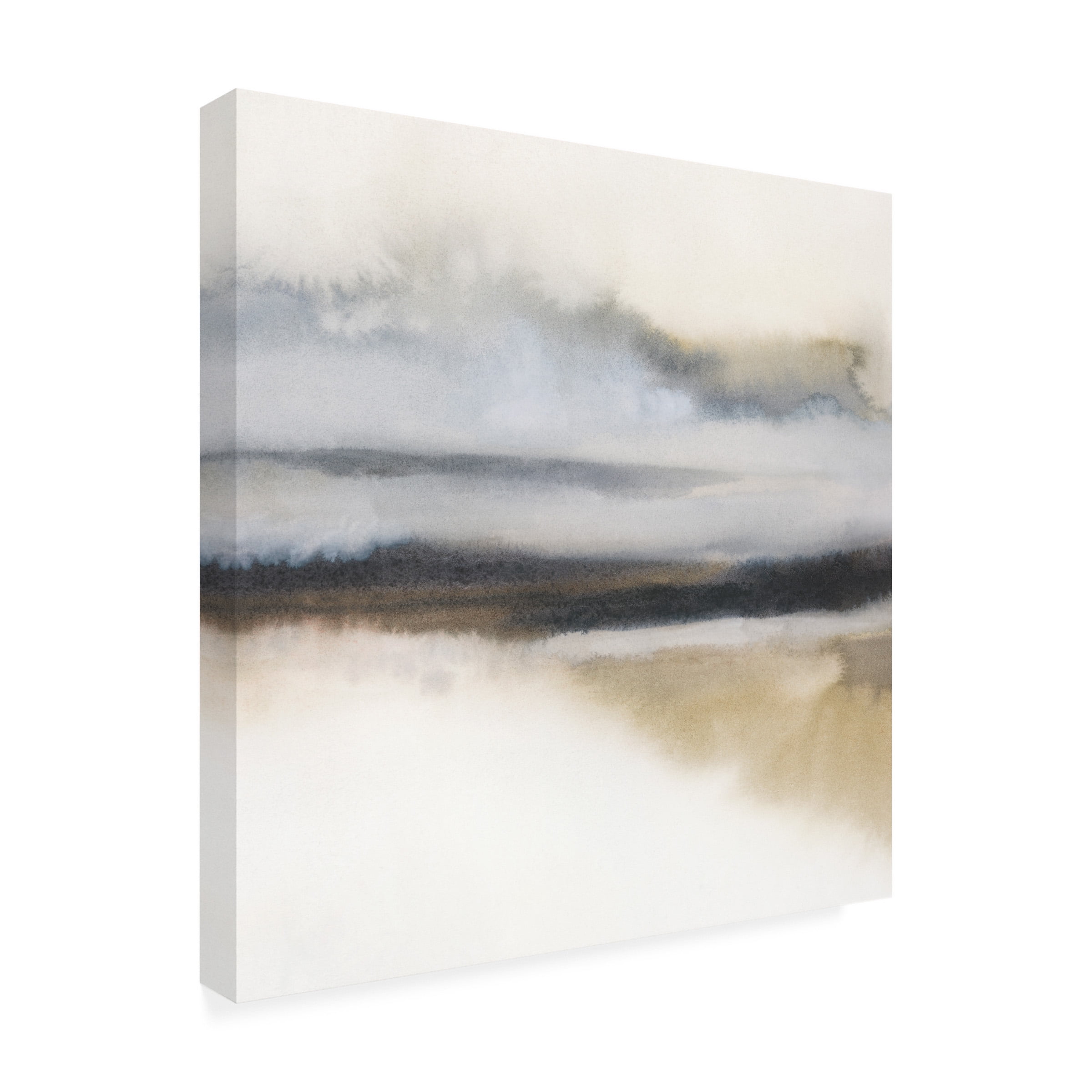 Canvas Wall Art - Grace Popp 'Misty Greyland II' Wall Art for Living Room, Bedroom, or Office Décor by Trademark Fine Art - 24 x 24 Inches - 24x24