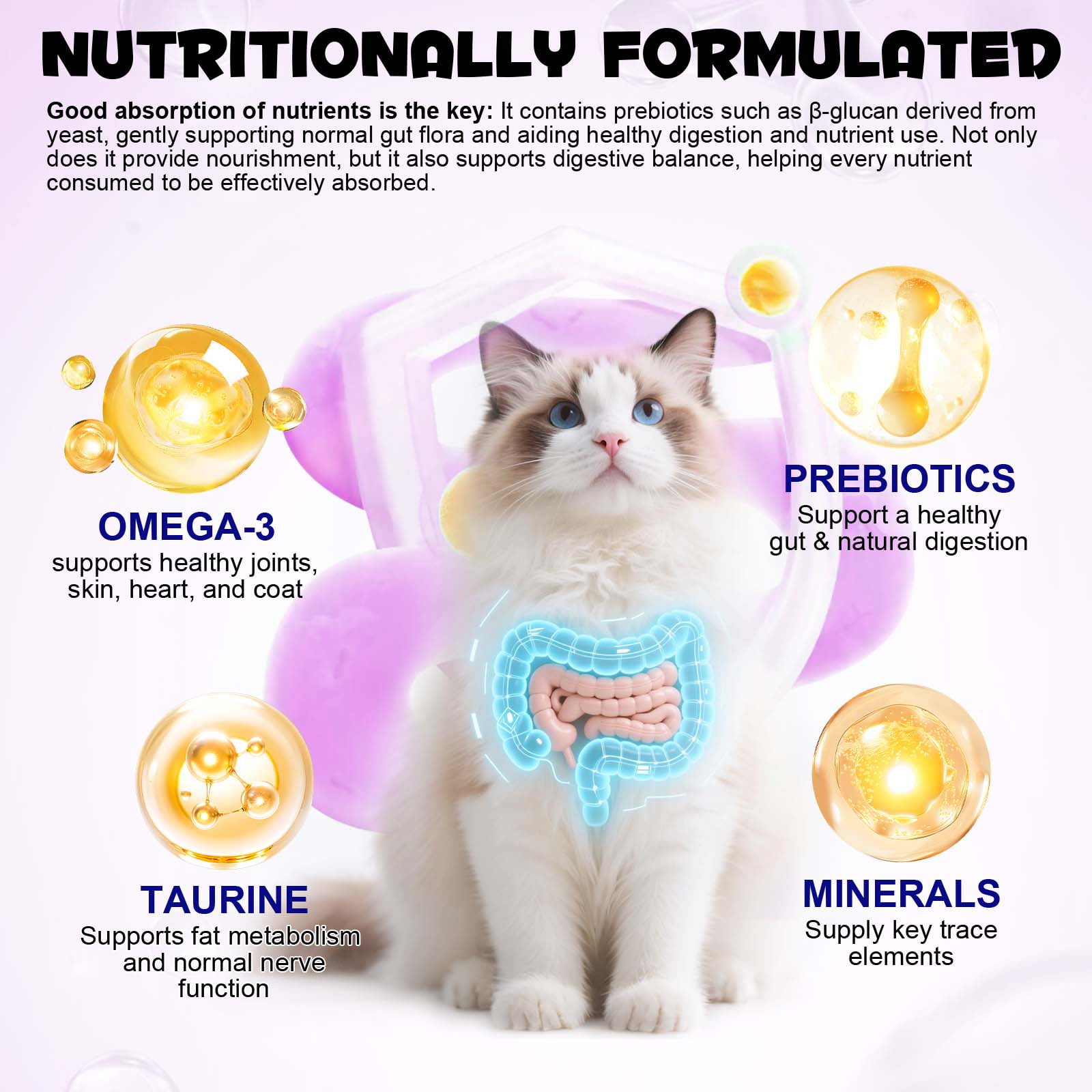 Oimmal Cat Multivitamin Chews, Chicken Flavor Cat Vitamins Treats - 15-in-1 Daily Supplement for Skin & Coat, Heart, Brain, and Digestive Health, Delicious Crunchy & Creamy - 4Pack
