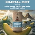 thumbnail image 4 of Dr. Squatch Mens Aluminum Free Deodorant, Natural Deodorant for Men, Coastal Mist, 2.65 Oz, 4 of 18