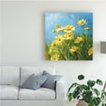 thumbnail image 2 of Trademark Fine Art 'Summer Field I' Canvas Art by Danhui Nai, 2 of 3