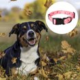 thumbnail image 3 of Corbata de lazo suave y cómoda para mascotas, collar para perros y gatos, regalo para mascotas, collar de algodón ajustable para perros y gatos Namotu CPB-US-YY697-1, 3 of 5
