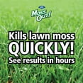 Lilly Miller Moss Out! Plus Fertilizer Lawn Food, 2005 Fertilizer, 20 lb.