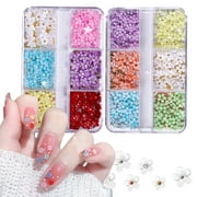 Jiaroswwei 1 Box Nail Decoration Realistic Looking Stunning Visual Effect Bright Color Creative Shape Wide Application Decorative Resin 3D Flower Petal Style DIY Nail Art Charms Nail Supplies