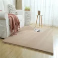 thumbnail image 5 of Alfombra de pelo de conejo de imitación, manta de cama para dormitorio, alfombra gruesa y densa para sala de estar, mesa de café, alfombra antipelo de conejo, 5 of 5