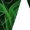 A Orange, variant on Shorts Men Casual Men Shorts Casual Men's Casual Homewear Flame Printing Funny Printed Trousers Beach Sports Shorts Fast-Drying Trousers Purple M