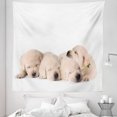 thumbnail image 1 of Yellow Lab Tapestry, Sleepy Little Puppies Funny Dog Photo Labrador Retriever Pups Napping Photo, Fabric Wall Hanging Decor for Bedroom Living Room Dorm, 5 Sizes, Beige and White, by Ambesonne, 1 of 1