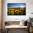 thumbnail image 3 of Elephant Stock Sunflower Field Sunrise Wall Art - Horizontal Canvas Wall Art - Living Room Wall Decor - Nature Canvas - Beige And Gold Decor - 45" x 30", 3 of 8