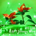 thumbnail image 2 of Pilas verdes Fairy Lights SmilingTown de 20 luces LED, 15 paquetes, 2 of 7
