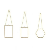 3 Packs Pressed Flowers Glass Frames- Golden Hanging Picture Frames with Chain Floating DIY Artwork Display