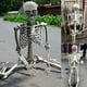 thumbnail image 3 of Esqueleto de Halloween Prop Humano Tamaño completo Cráneo Mano Vida Cuerpo Anatomía Modelo Decoración Meser JFHKJSHJK1447, 3 of 7