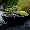 StoneCreek River Rocks, Decorative Garden Stones for Plant Landscaping