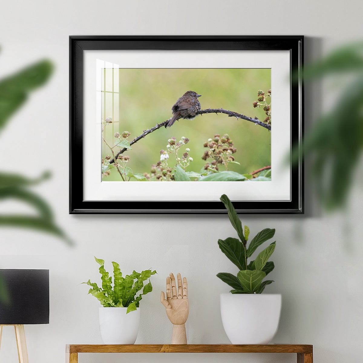 Resting Sparrow Premium Framed Print - Ready to Hang