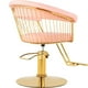 thumbnail image 4 of Silla Circular Gold Estetica Spa Ajustable Giro 360 Rosa Nanofort, 4 of 8