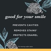 Burts Bees Toothpaste, Natural Flavor, Charcoal with Fluoride Toothpaste, Mountain Mint, 4.7 oz
