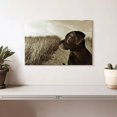 thumbnail image 2 of Elephant Stock Black Lab At The Beach Wall Art - Horizontal Canvas Wall Art - Living Room Wall Decor - Animal Canvas - Black And Brown Decor By Jim Dratfield - 12" x 8", 2 of 8