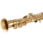 Selmer SSS311 Student Soprano Bb Saxophone