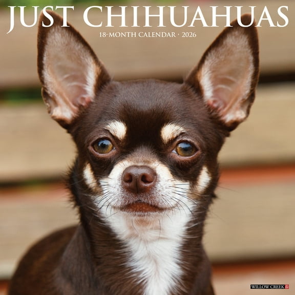 Chihuahuas 2026 Wall Calendar, (Paperback)