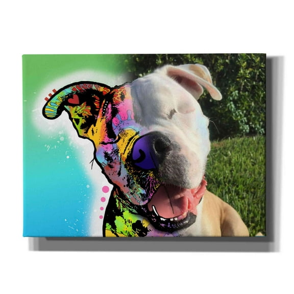 Epic Graffiti 'Frances - Jan Stenger' by Dean Russo, Canvas Wall Art, 16"x12"