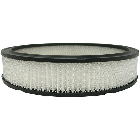 Air Filter Fits select: 1968-1972 FORD MUSTANG, 1968-1976 FORD F100