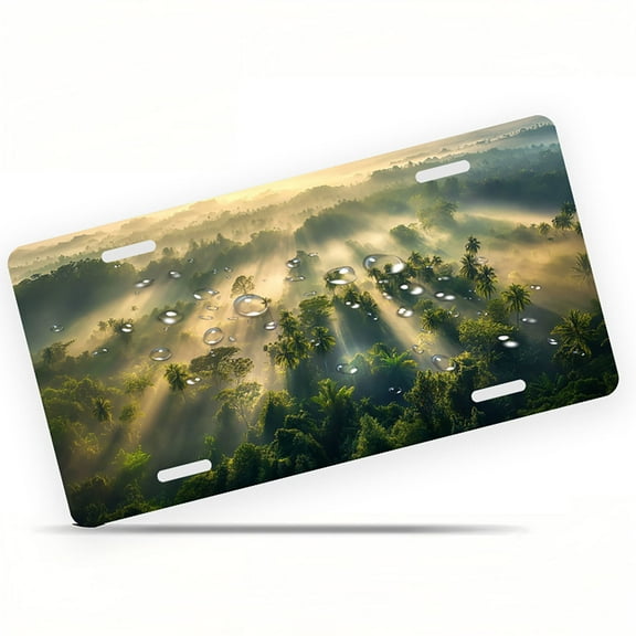 Tropical Sun dappled Forest Funny Personalized License Plate Rust-proof Stainless Steel Metal License Plate Suitable For Men And Women 12.2" x 6.2"