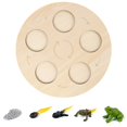 thumbnail image 1 of MesaSe Simulation Insect Plastic Animal Early Growth Preschool Model Miniature Educational Props Cognition Toy for Children, 1 of 9