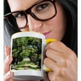 thumbnail image 2 of 3dRose, Louisiana, New Orleans, Vacherie. Oak Alley Plantation, old oak trees., 11oz Two-Tone Yellow Mug, 2 of 7