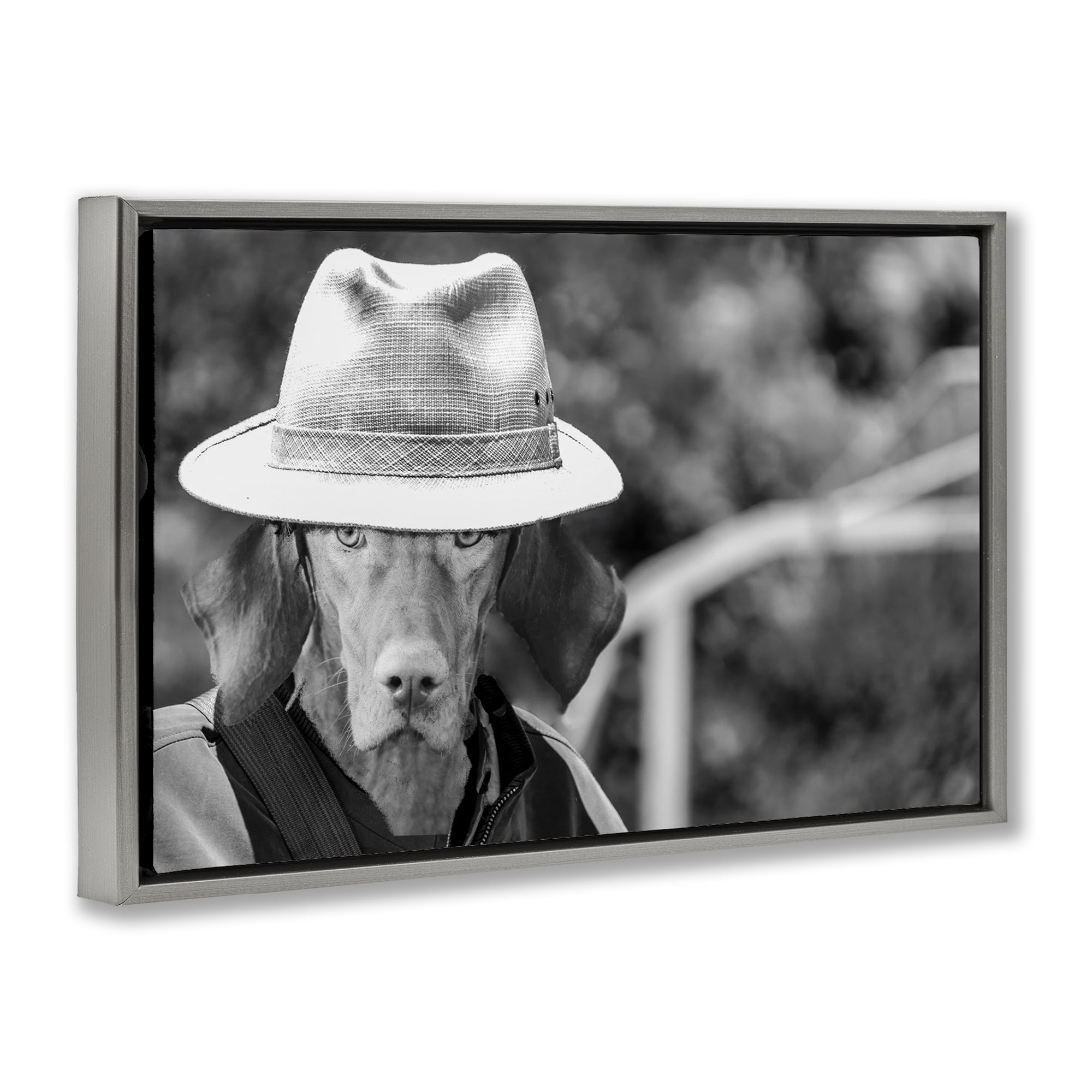 Stupell Industries Country Cowboy Dog Animals & Insects Photography Gray Floater Framed Canvas Art Print Wall Art, 31 x 21