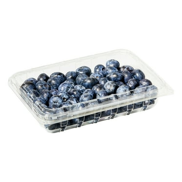 Fresh Jumbo Blueberries, 9.8 oz Container