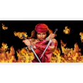 thumbnail image 1 of Elektra Photo License Plaque, 1 of 2
