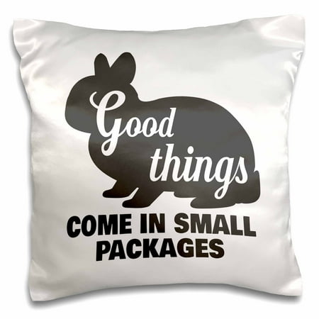 Pillow Retail Package - 3dRose Netherland Dwarf Rabbit Good Things Come in Small Packages - Pillow Case, 16 by 16-inch