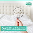 thumbnail image 2 of Bed Bug Spray, 3 Pack, Travel Size, Natural, Plant Based Killer, Insect & Pest Control for Home and Hotels Ants, Bugs, Spiders, Dust Mites, Flys, Peppermint Scent, 3.4 Fl Oz, 2 of 3